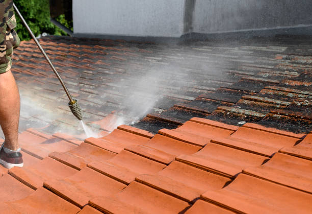 Best Local Pressure Washing Services  in Sugarland Run, VA